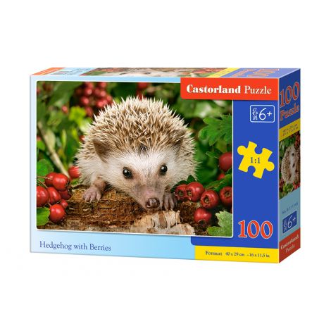 Puzzle Castorland 100el Jeż